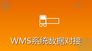 物流行业 RPA WMS系统数据对接