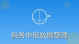 RPA 税务申报数据整理