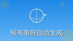 RPA 报关单据自动生成